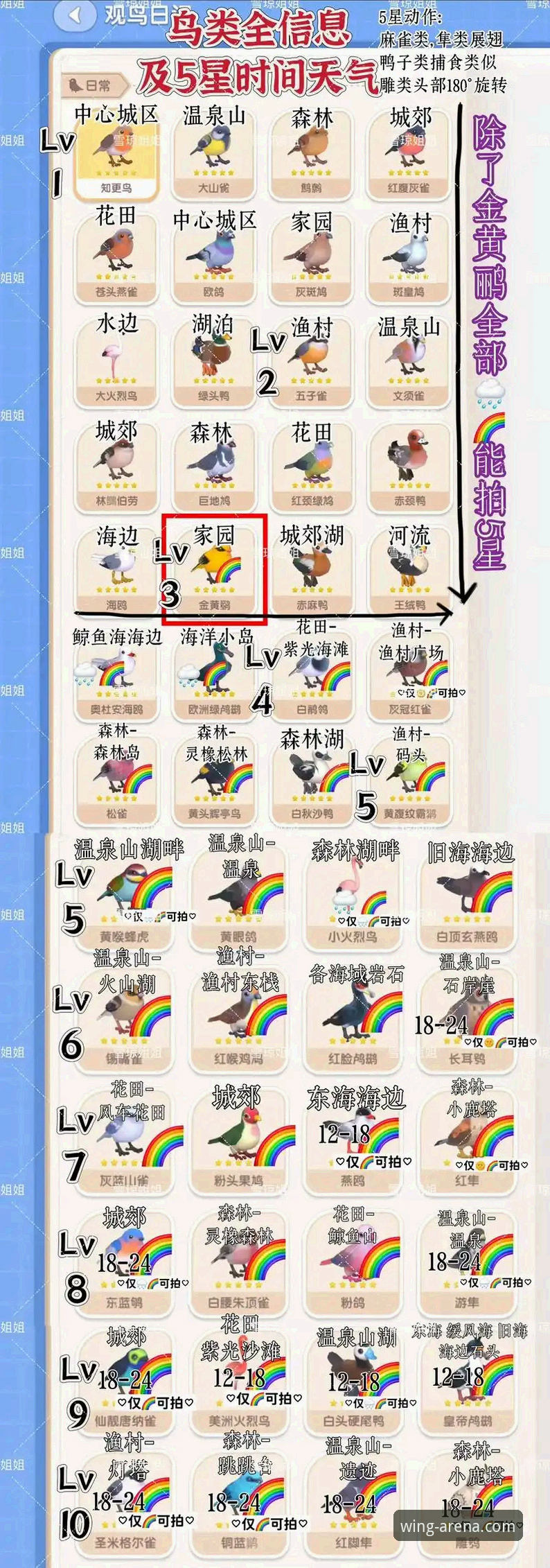小鸟体育官网全面解析：A8B2版本如何重塑观赛体验？
