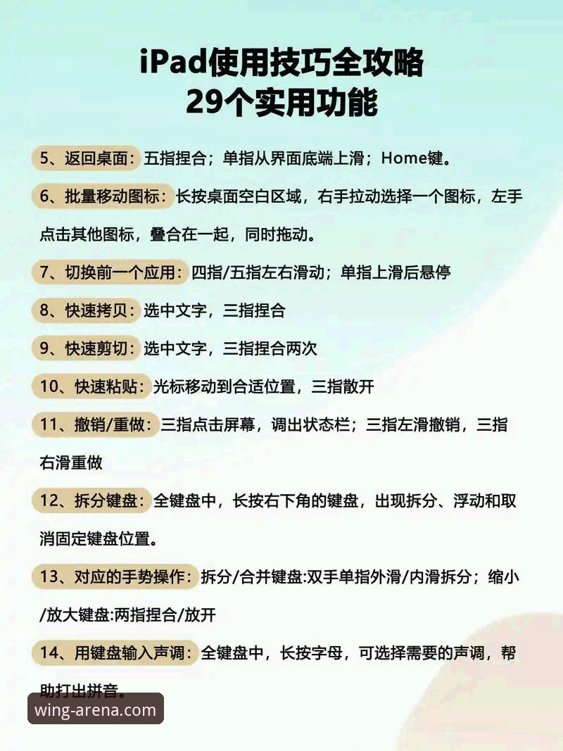 小鸟体育流畅观赛评测操作教程：从入门到精通